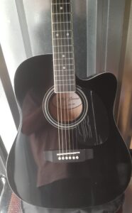 Guitar